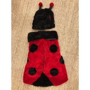 Ladybug Dog Costume Size M, NWOT